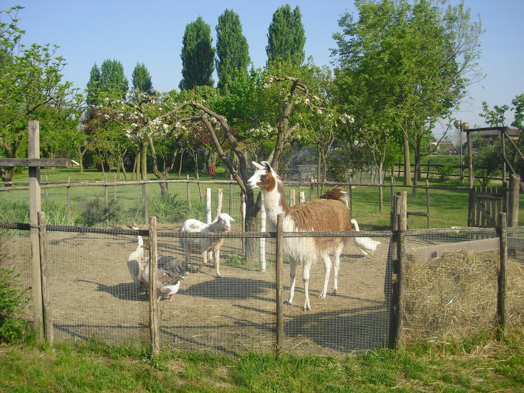 Agriturismo La Penisola Hostal Campo San Martino Exterior foto